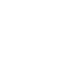 logo-assets.png