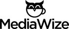 logo-mediawize.png